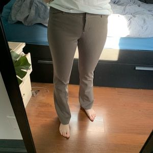 Express Columnist Pant in Brown/Taupe